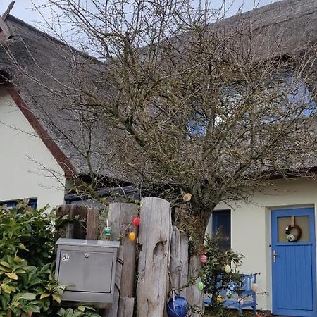 Ferienwohnung Im Rohrdachhaus Wustrow  Dış mekan fotoğraf